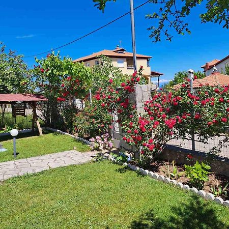 Villa Jenny Leptokarya  Exterior photo