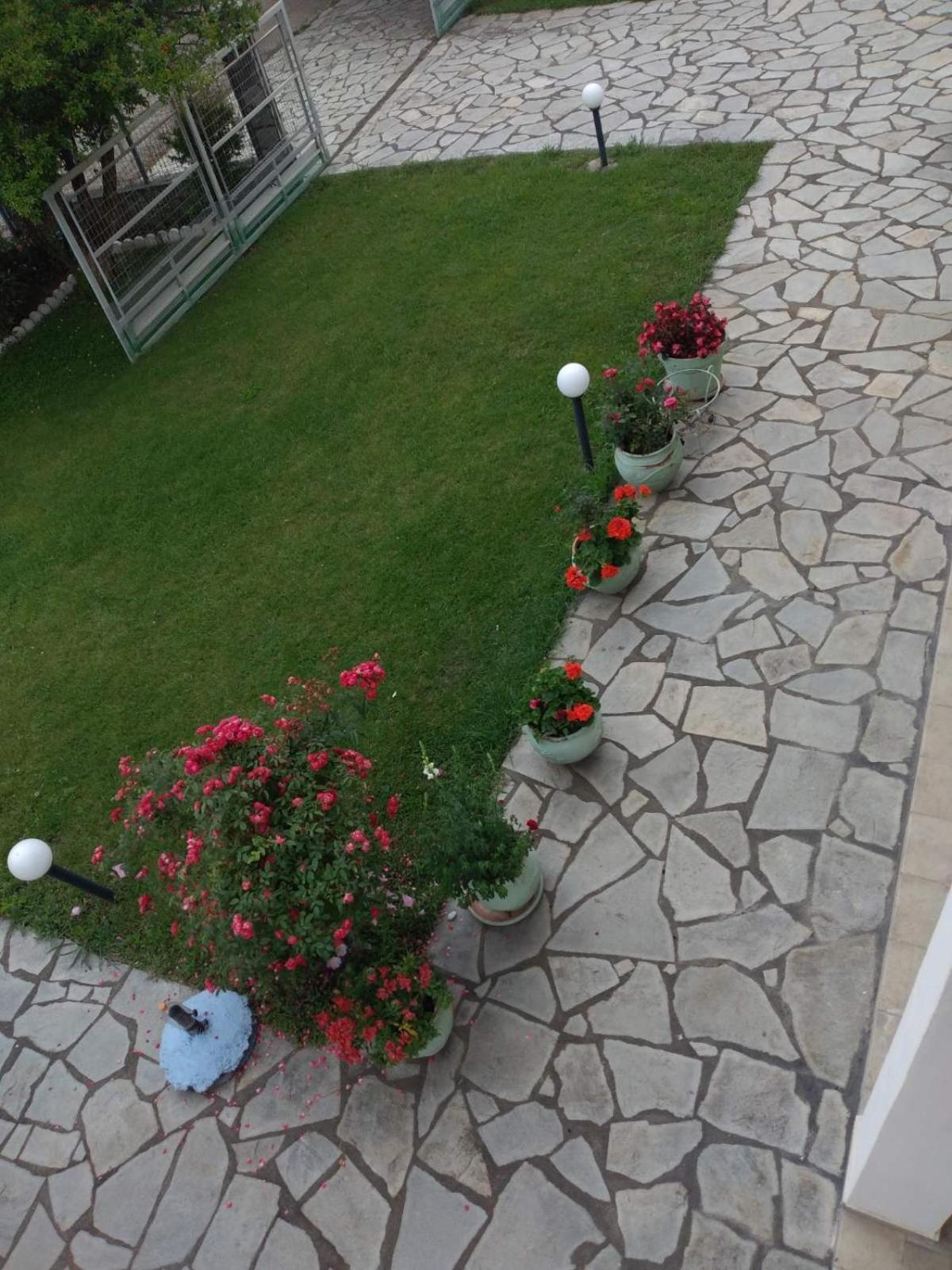 Villa Jenny Leptokarya  Exterior photo
